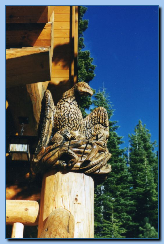 2-30 eagle  perched, half-spread wings-archive-0001